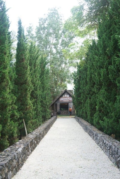 บรรยากาศ