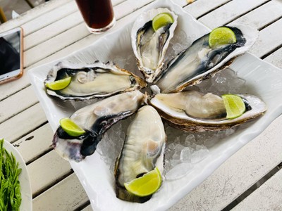 หอยนางรม