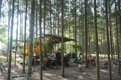 บรรยากาศ