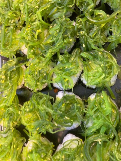 สาหร่าย