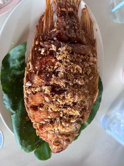 ปลาทับทิมทอดกระเทียม