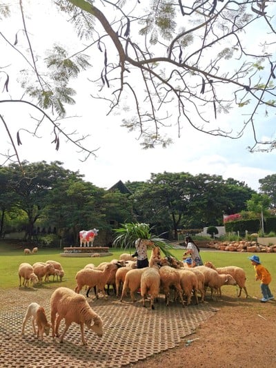 The Scenery Vintage Farm And Resort