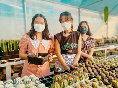 เที่ยวปีใหม่