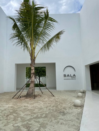 บริเวณโดยรอบ