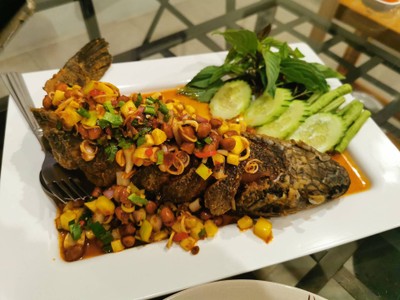 ปลากระพงลุยสวน