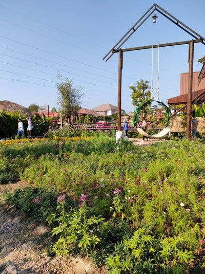 บรรยากาศ ปลายตะวัน