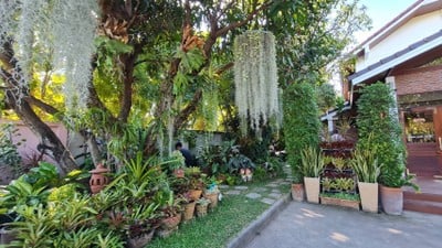 LIFE coffee at home สุรินทร์