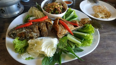 ปลาช่อนลุยสวน