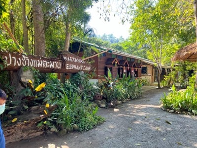 ปางช้างแม่ตะมาน