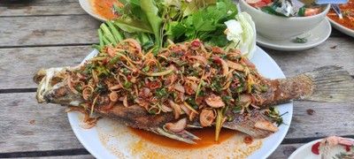 ปลากระพงโบราณ