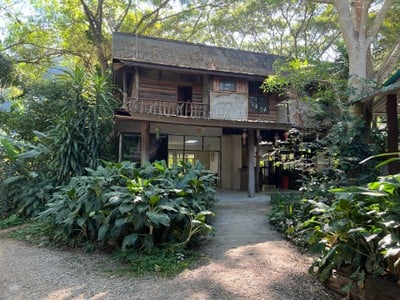 ปางช้างแม่ตะมาน