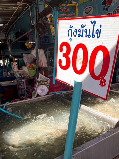 กุ้งมันไข่