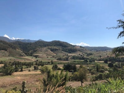 จุดชมวิวแม่ลาหลวง