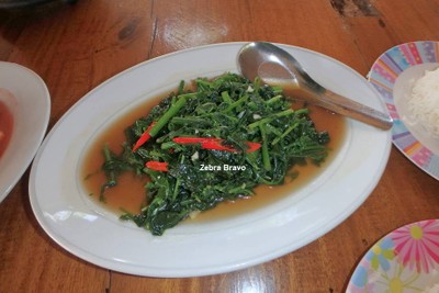 ผัดผักกูดน้ำมันหอย