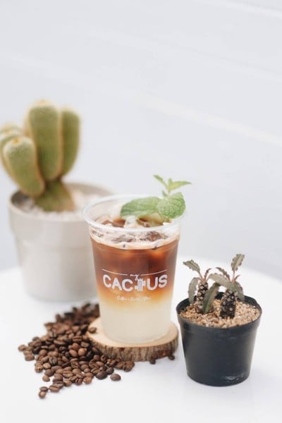 เมนูของร้าน My Cactus