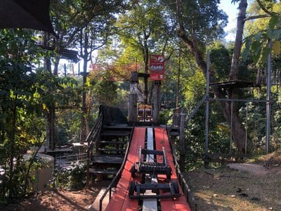 Pongyang Jungle Coaster Zipline Camp&Resort