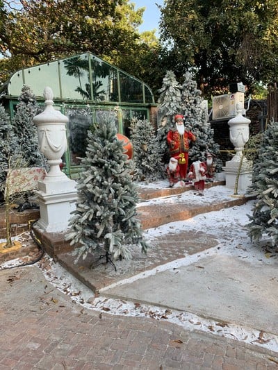 Tsai Eatery ไทร อีทเทอรี่