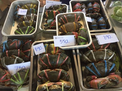 นึ่ง ต้ม ผัดผงกะหรี่ ผัดพริกไทยดำ