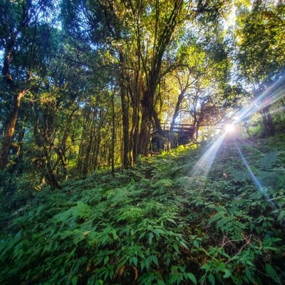 อุทยานแห่งชาติดอยอินทนนท์