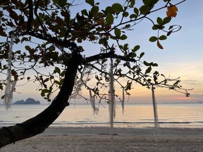 สระว่ายน้ำ/ชายหาด