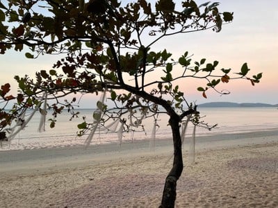 สระว่ายน้ำ/ชายหาด