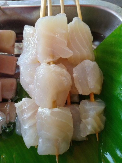 Dolly Fish
