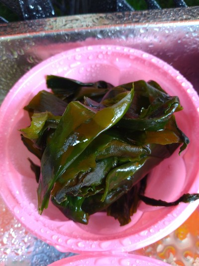 Wakame Seaweed