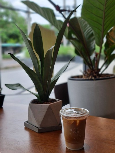 Iced Latte