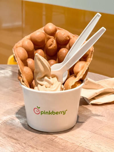 Bubble Waffle Frozen Yogurt