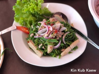 ยำผักกูด