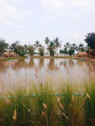 บรรยากาศ