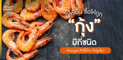 ดูให้เป็น ซื้อให้ถูก “กุ้ง” มีกี่ชนิด ทำเมนูอะไรได้บ้าง ไปดูกัน!