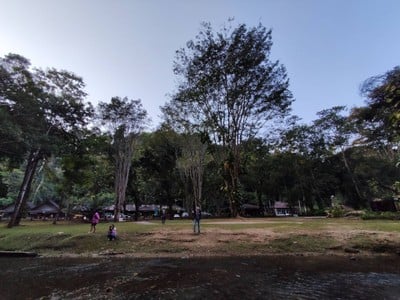 อุทยานแห่งชาติภูซาง