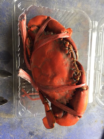 จัมโบ้ นึ่ง