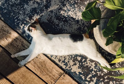 เลอ คันนา ฟาร์มสเตย์ คอฟฟี่ เขาค้อ ภูทับเบิก