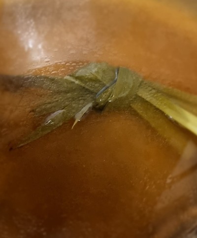 น้ำซุปใส