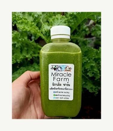 วิธีทำ สมูทตี้เคลสดเสาวรส วิธีทำ สมูทตี้เคลสดเสาวรส