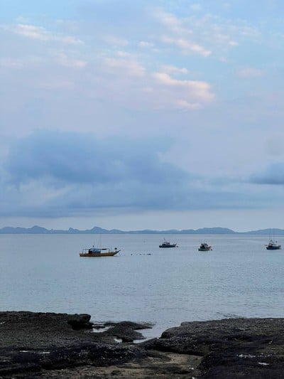 ซาอุ​ Seafood เกาะล้าน