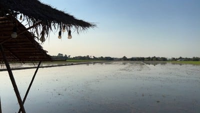 อิ๊กซ์ฟอร์เรสเต้ (IX Foreste’)