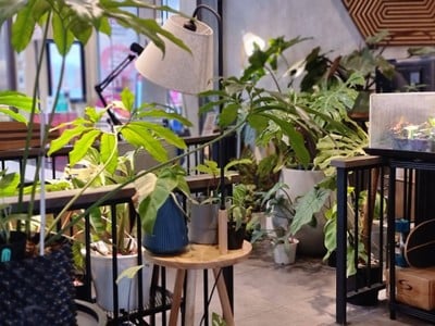 บรรยากาศ