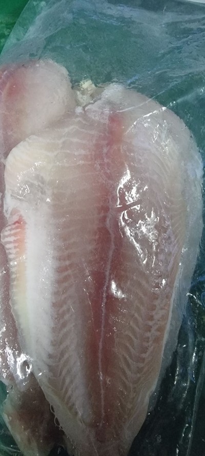 ปลาดอลลี่