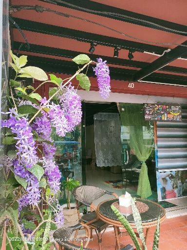 รูปโปรไฟล์