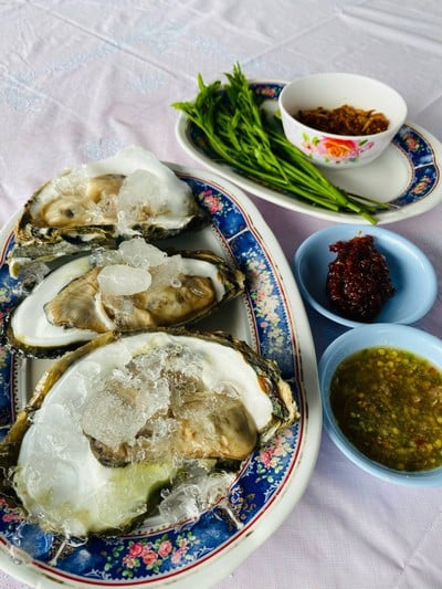 หอยนางรมสด