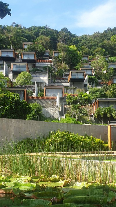 บริเวณโดยรอบ