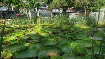 บริเวณโดยรอบ