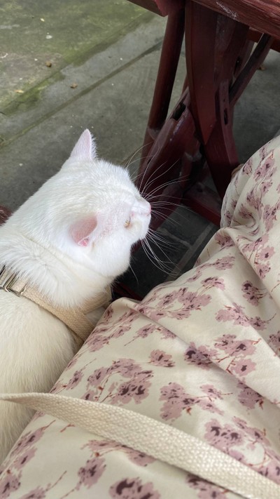 น้องสามารถมานั่งข้างๆได้ด้วย