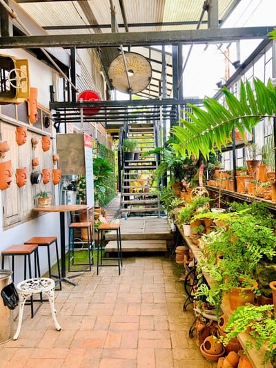 ปลาชุม : Plachum Café & Bistro