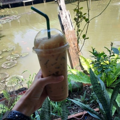 ชาชัก รสชาติหอมชา