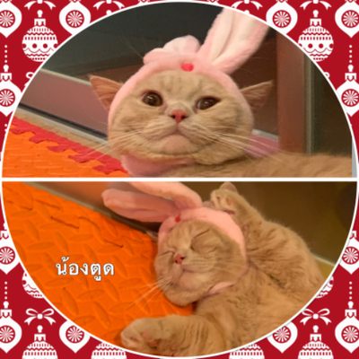 MENU_1296956gy_1646063329