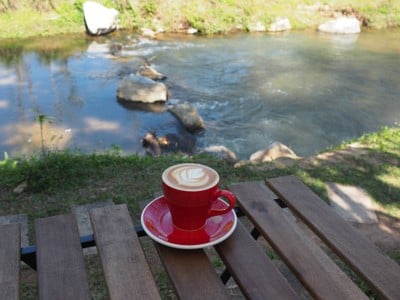 Aso Coffee Roasters เชียงราย